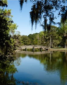 Sea Pines Forest Preserve
